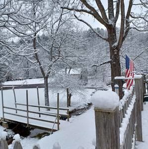 Meet your Posher, Sylvia sue